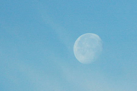 朝の空に浮かぶ月